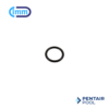 Oring 2 Pentair 57006500
