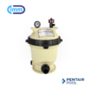 Filtro de cartucho Pentair CC50 SF